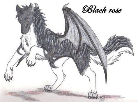 My Pet Demon Wolf Nori Fan Art 12620385 Fanpop
