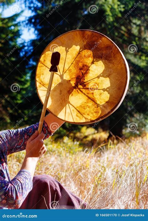 Shamanic Drum In Nature Shamanic Drum Made Of Deer Goat Stock Photo