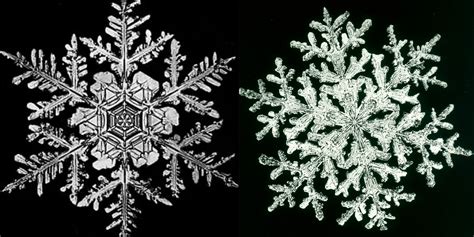 How Vermonts Snowflake Man Created The First Ever Images Of Fleeting