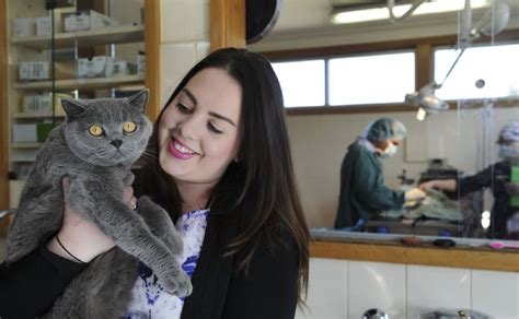 Act Cat Carer Raises Thousands To Desex Cats For Owners In Need The