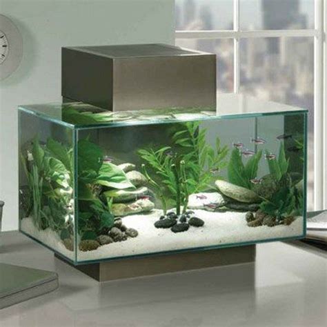 Transform The Way Your Home Looks Using A Fish Tank Decor Around The