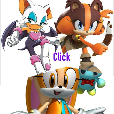 Top 5 Favorite Female Sonic Characters Sonic The Hedgehog Amino