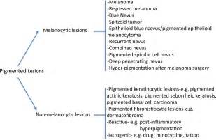 Differential Diagnosis Of Heavily Pigmented Melanocytic Lesions
