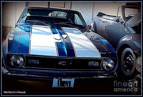 Love Some Muscle Photograph By Bobbee Rickard Fine Art America