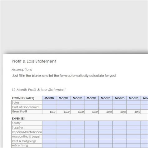 12 Month Profit And Loss Statement Pdf Form Yvoxs