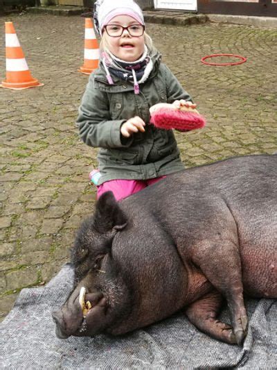 Bankhaus hallbaum (bankhaus hallbaum) ort: Spenden - Tier-hilft-Mensch-Stiftung Bernd Hildebrandt