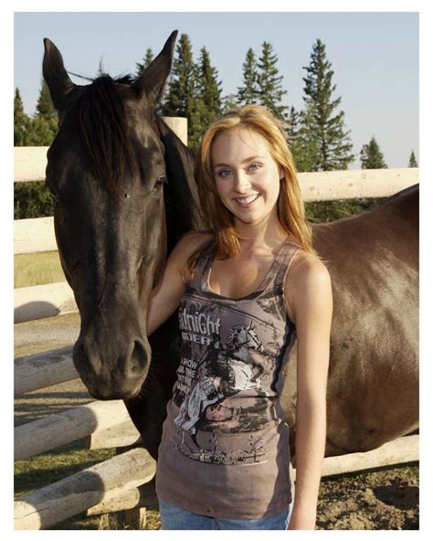 Heartland Amy And Spartan Wallpapers Wallpaper Cave