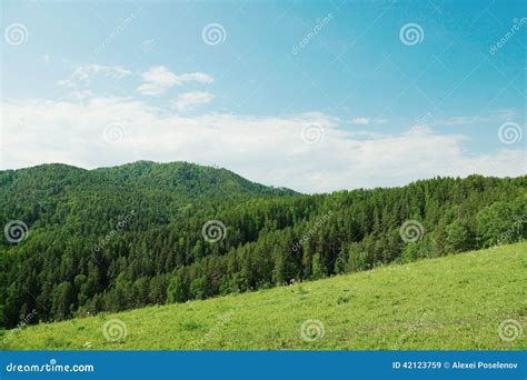 Beautiful Alpine Landscape With Green Wooded Hills Stock Image Image