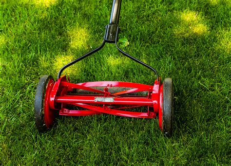 Best Reel Lawn Mowers 2021 For Small Lawns Tool Digest
