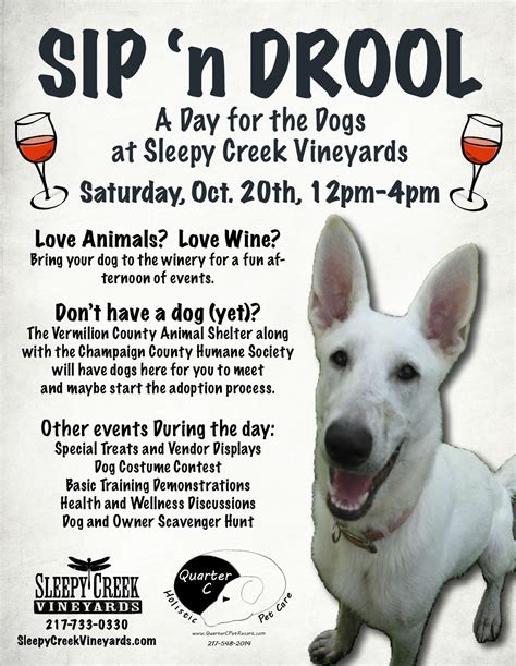 48 fundraising ideas for pets animals and shelters – Artofit