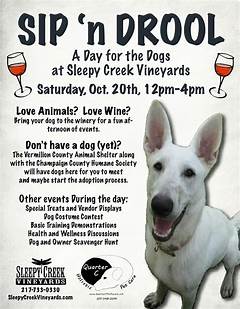 The Ultimate Pet Adoption Destination Dive Into El Paso Craigslist S Animal Haven