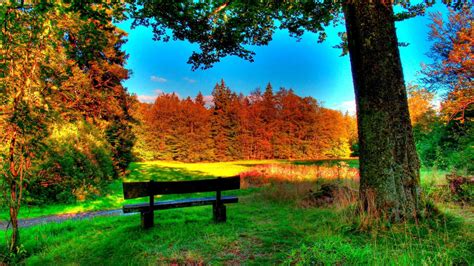 Beautiful Park In Schotten Germany In Autumn Hdr Hd