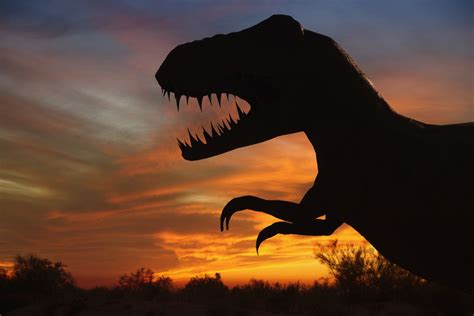 8 Facts About The Fearsome T Rex