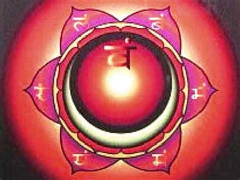 Kundalini Rising Part 2 The Sacral Chakra Fractal Enlightenment