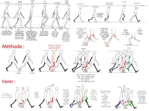When i went back to fix my walk cycle, one of the main problems was that the key poses were off. image2.jpeg (1600×1200) | Animated drawings, Motion ...