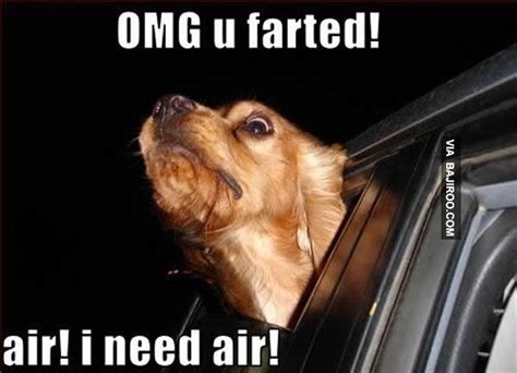 45 Funniest Fart Memes S Jokes Photos And Images Picsmine