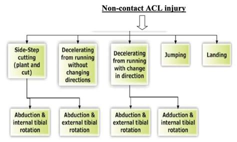 Acl Injury Symptoms Causes And Treatments Physio Focus Singapore