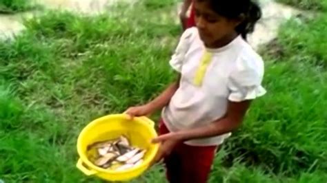 No a la izquierda no a la derecha. "Lluvia de peces" impresiona a aldeanos hondureños - YouTube