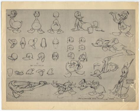 Howard Lowery Online Auction Disney Donald Duck Animation Model Sheet