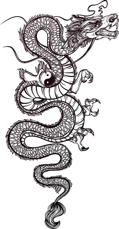 Download Tattoo Chinese Illustration Dragon Vector Hand Painted Hq Png