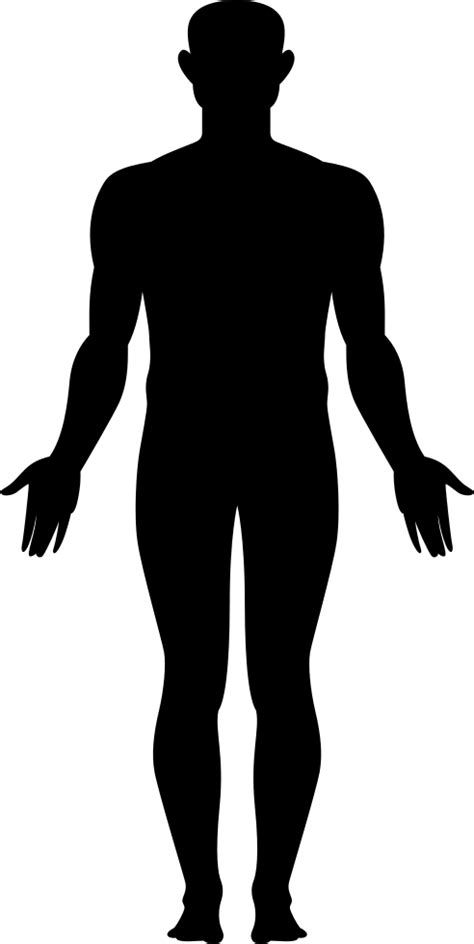 Whole Body Svg Png Icon Free Download 276582 Onlinewebfontscom