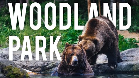 The Best Exhibits At Woodland Park Zoo Seattle Wa Youtube