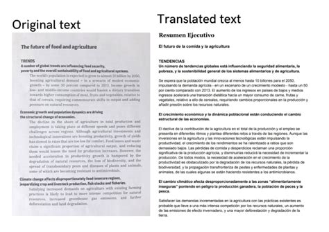 Traducción De Textos De Español A Inglés By Hannah Mvr Fiverr