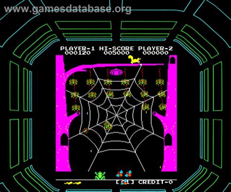 Frog And Spiders Arcade Games Database