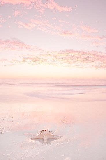 Blush Pink Pink Aesthetic Ocean Background