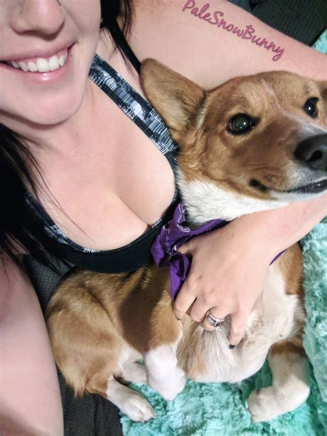 Cleavage And A Corgi Scrolller