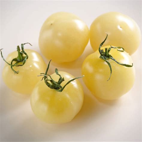 Tomato White Cherry Seeds The Seed Collection