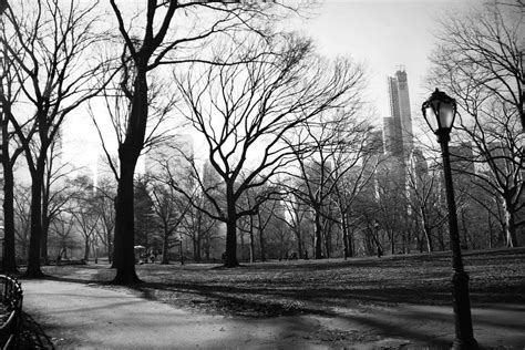 Central Park In Black And White Nyc 2013 Cental Park Central Park