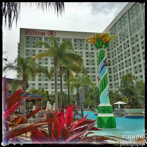 Tropics Pool Bar Hilton Orlando 15 Photos And 13 Reviews Sports