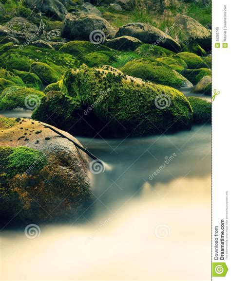 Big Boulders Covered By Fresh Green Moss In Foamy Water Of Mountain
