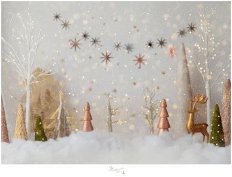 Digital Backdrop Holiday Winter Wonderland Background Etsy