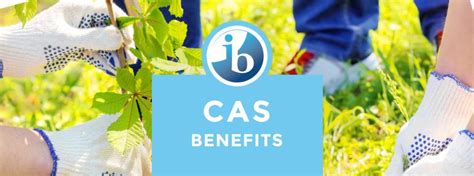 What Are The Benefits Of The Ib Diploma Cas World Schools