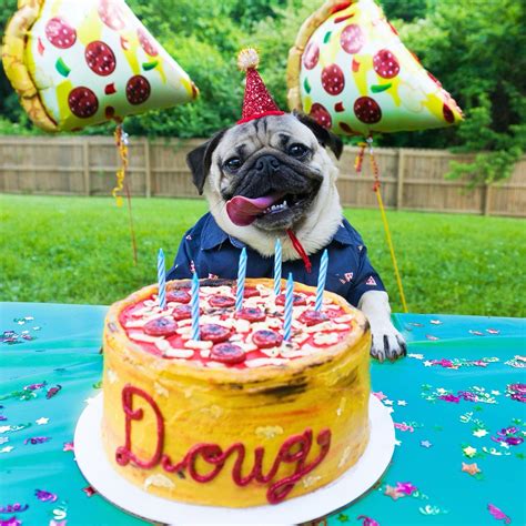 Pin By Debbie Parker On Party Its My Birthday Pug Birthday Pug