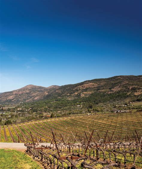 Our Wine Pros Explore Coombsville Napa Valleys Hottest New Ava