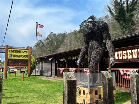 We May Not Be Alone Bigfoot Sightings Abound Across Northwest Georgia