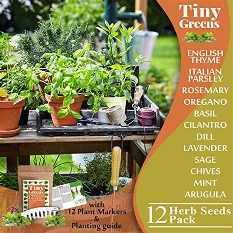 3600 Herb Seeds 12 Heirloom Varieties Non Gmo Herbs Seeds For