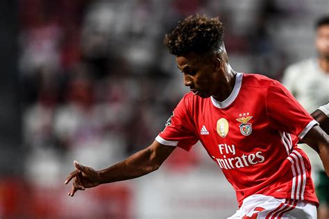 His current girlfriend or wife, his salary and his tattoos. Gedson Fernandes to Tottenham transfer latest: What we ...