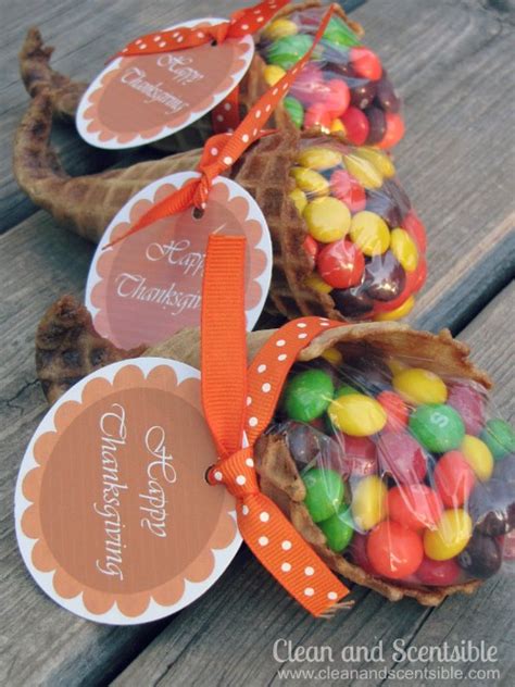 Use fruit leather as the husk to surround your own colorful creation. Cornucopia Thanksgiving Treats for Kids - Clean and Scentsible