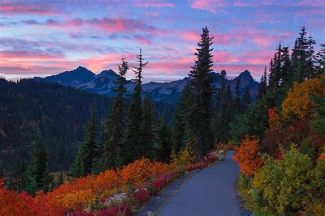 Autumn Sunrise On The Trail Photograph By Lynn Hopwood Fine Art America