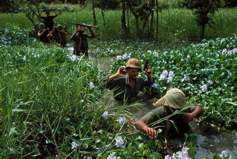 The Most Iconic Photographs Of All Time Life Vietnam War Vietnam