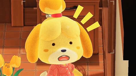 Isabelle Animal Crossing Animal Crossing Animal Crossing Characters