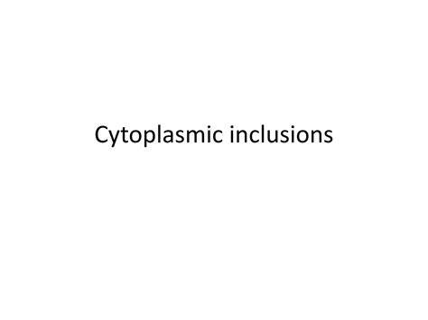 Solution Cytoplasmic Inclusions Attachement Tutor Studypool