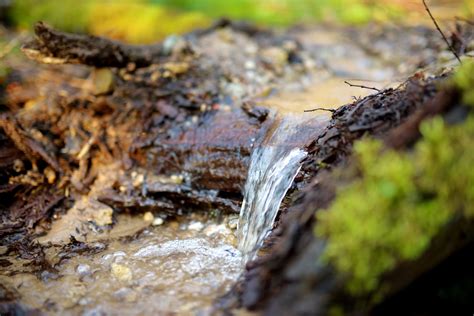 How To Build A Natural Stream Pond Mother Earth News