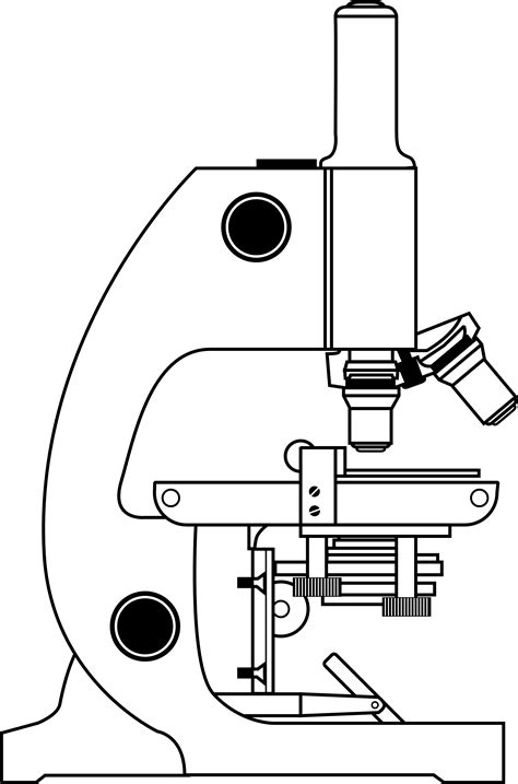 Free Microscope Pictures Download Free Microscope Pictures Png Images