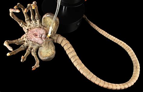 Love the item and will definitely be couldn't believe my eyes when i took the facehugger and egg out the box,this has to be a must for. Prop Store Live Auction 2016 Presents… Creature Feature ...