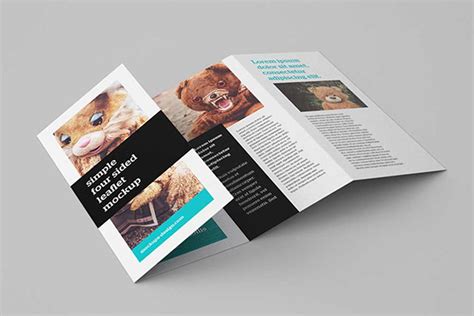 Download Download This Free 4 Panel Leaflet Mockup In PSD - Designhooks